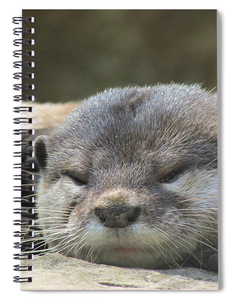 Otter Spiral Notebook featuring the photograph Sleepy Otter by Yvonne M Smith