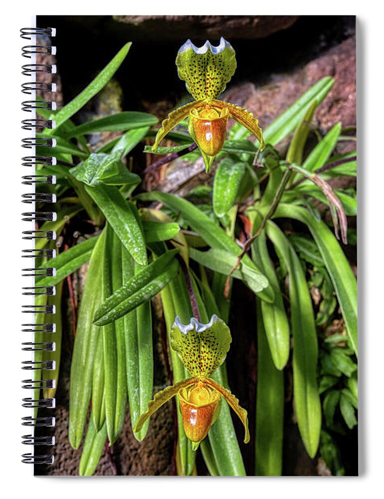 Slipper Spiral Notebook featuring the photograph Slipper Orchids by Micah Offman