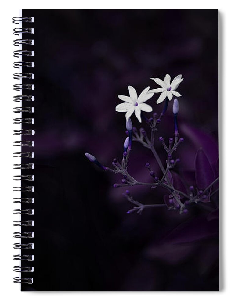 Nature Art Spiral Notebook featuring the photograph Purple French Lilac by Gian Smith