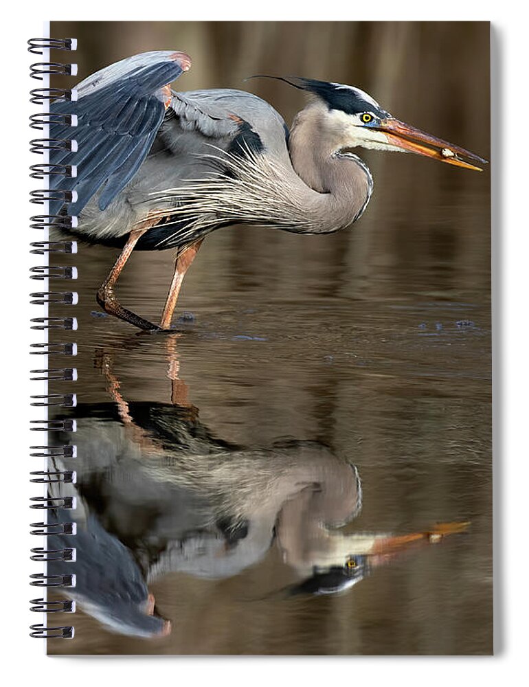 Great Blue Spiral Notebook featuring the photograph Small Prize by Art Cole