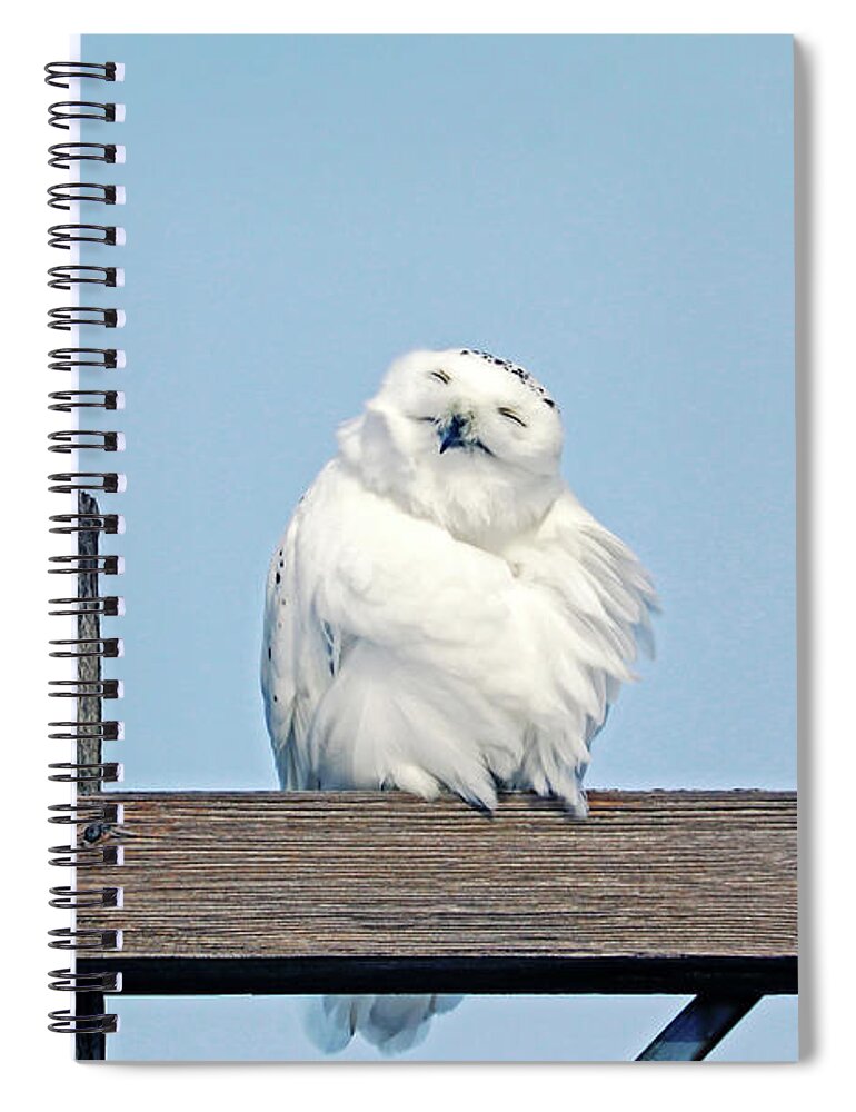 Snowy Owl Spiral Notebook featuring the photograph Smile With Your Face To The Sun by Debbie Oppermann