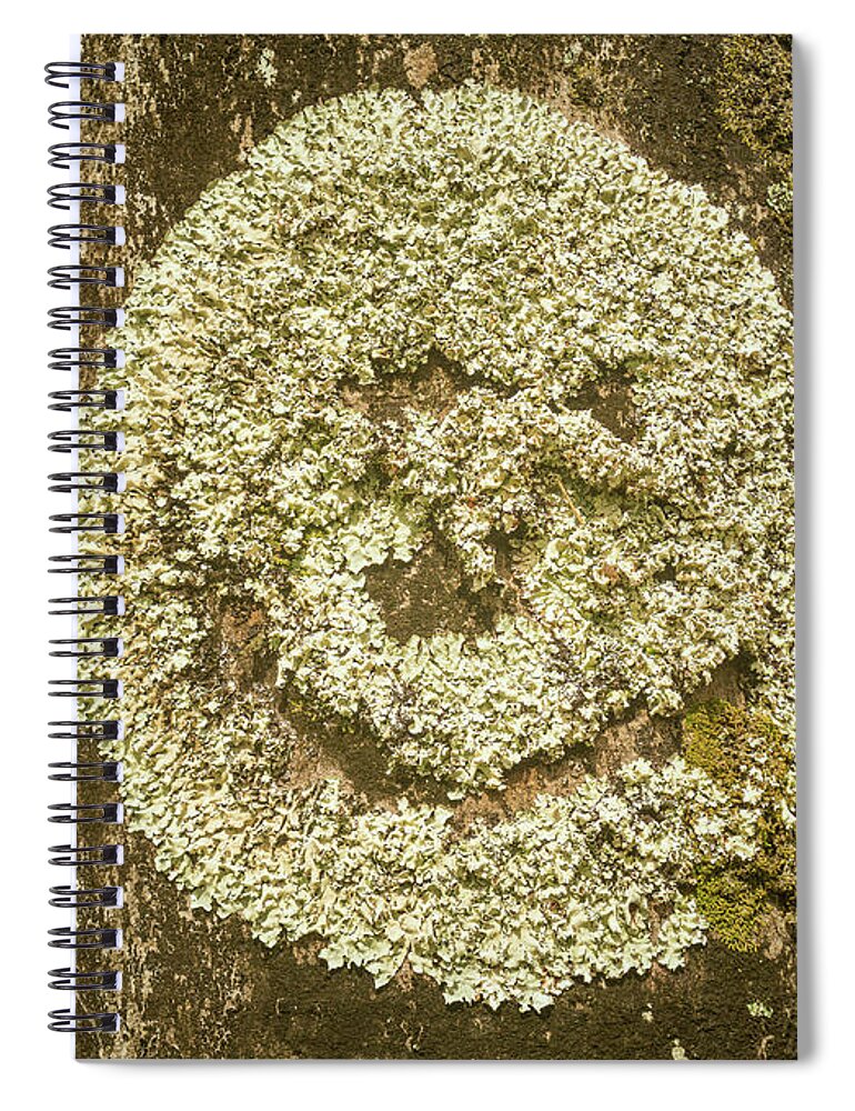 Abstract Spiral Notebook featuring the photograph Smiley face on a tree trunk created naturally by Steven Heap