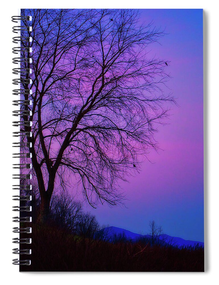 Nature Spiral Notebook featuring the photograph Smoky Mountain Dusk by Judy Cuddehe