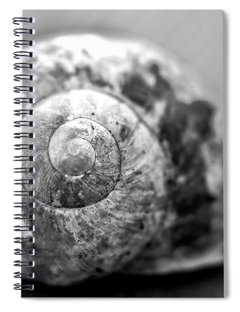 Snail Spiral Notebook featuring the photograph Snails house by MPhotographer
