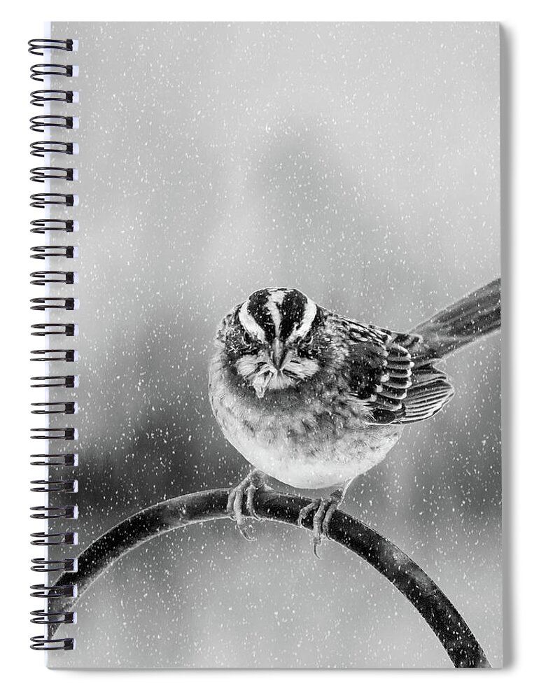 Bird Spiral Notebook featuring the photograph Snow Again by Cathy Kovarik