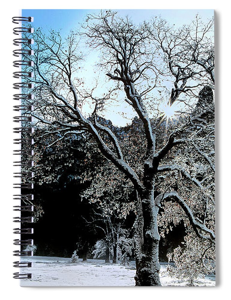Dave Welling Spiral Notebook featuring the photograph Snow Covered Black Oaks Quercus Kelloggii Yosemite by Dave Welling