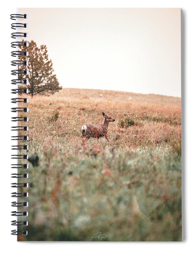  Spiral Notebook featuring the photograph Snow Doe by William Boggs
