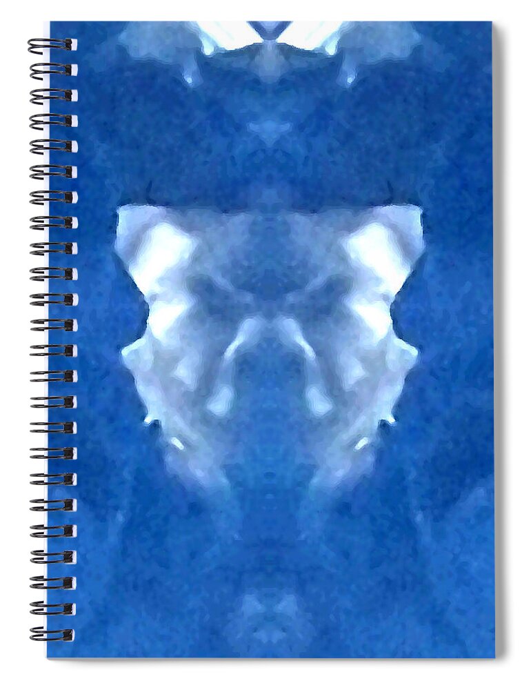 Snow Spiral Notebook featuring the photograph Snowbank Pareidolia Face by Delynn Addams