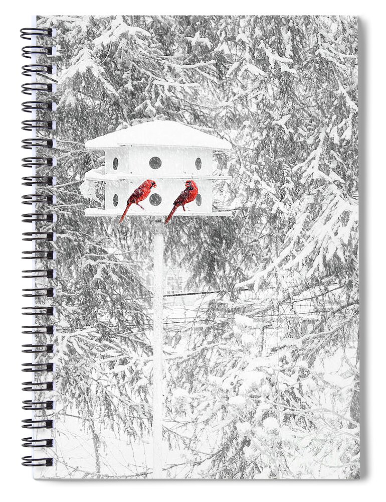 Snow Spiral Notebook featuring the photograph Snowbirds by Geoff Crego