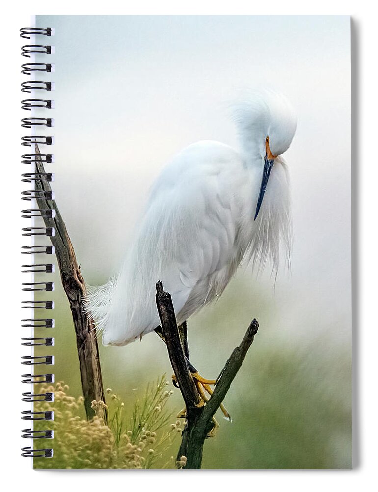 Snowy Egret Spiral Notebook featuring the photograph Snowy Egret 7015-122821-2 by Tam Ryan