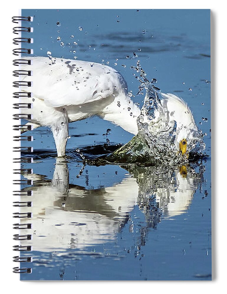 Snowy Egret Spiral Notebook featuring the photograph Snowy Egret 7487-080720-2 by Tam Ryan