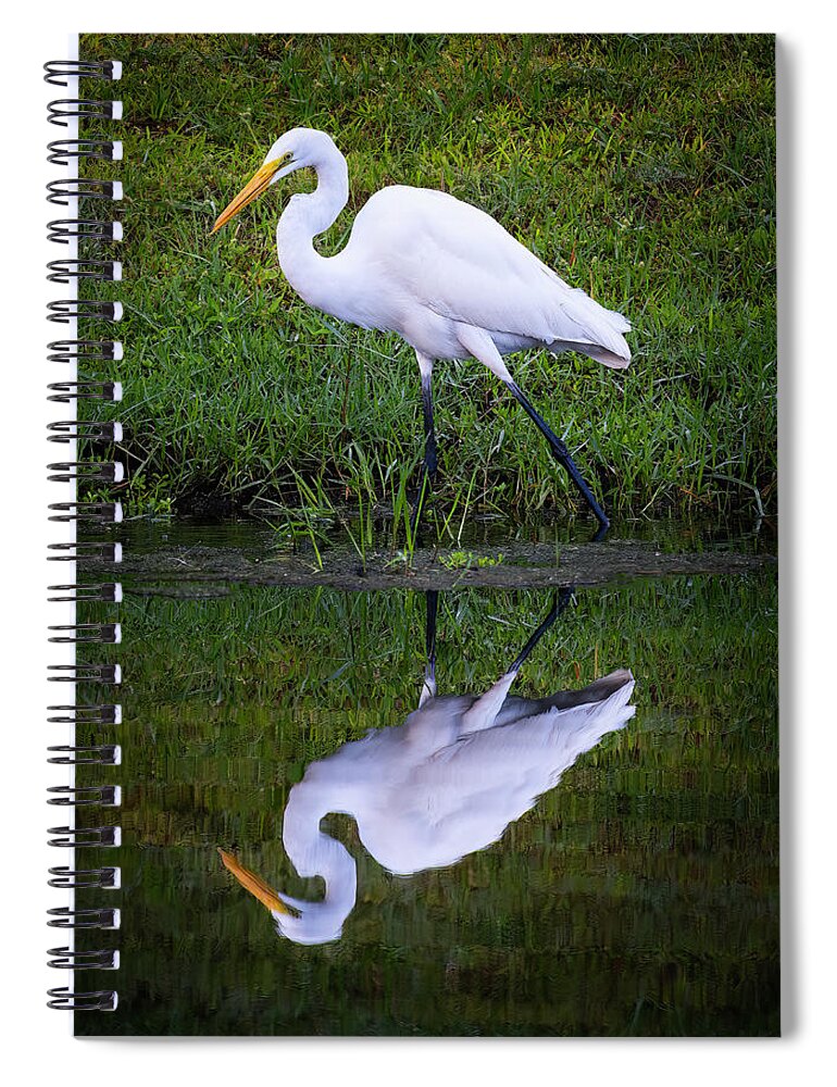Birds Spiral Notebook featuring the photograph Snowy Egret by Larry Marshall