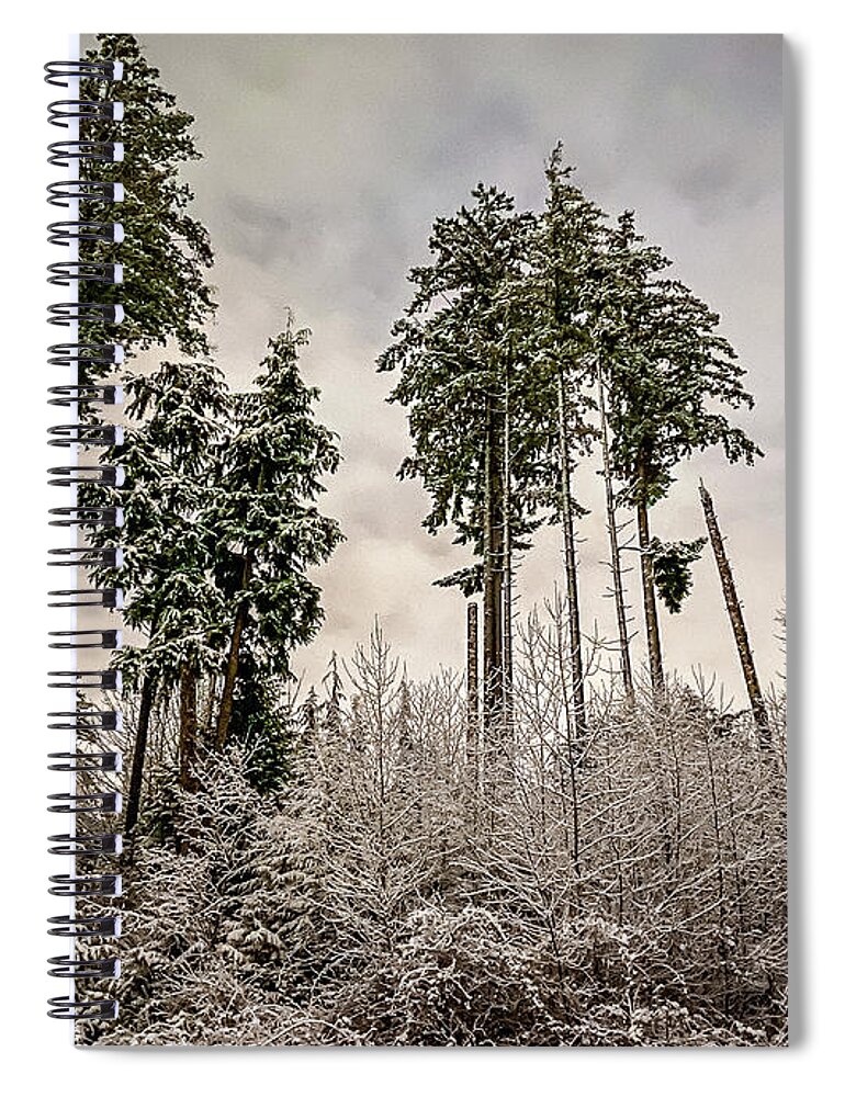 Forest Spiral Notebook featuring the photograph Snowy Forest by Anamar Pictures
