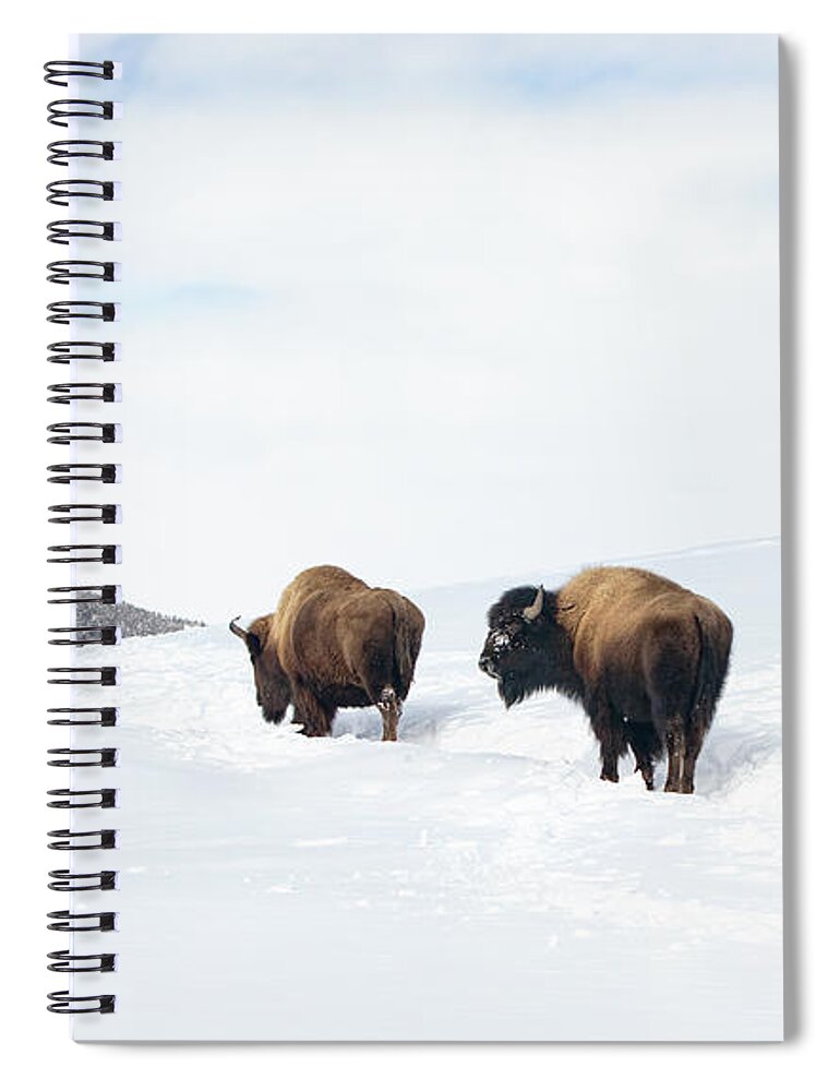 Snow Spiral Notebook featuring the photograph Snowy Journey by Art Cole