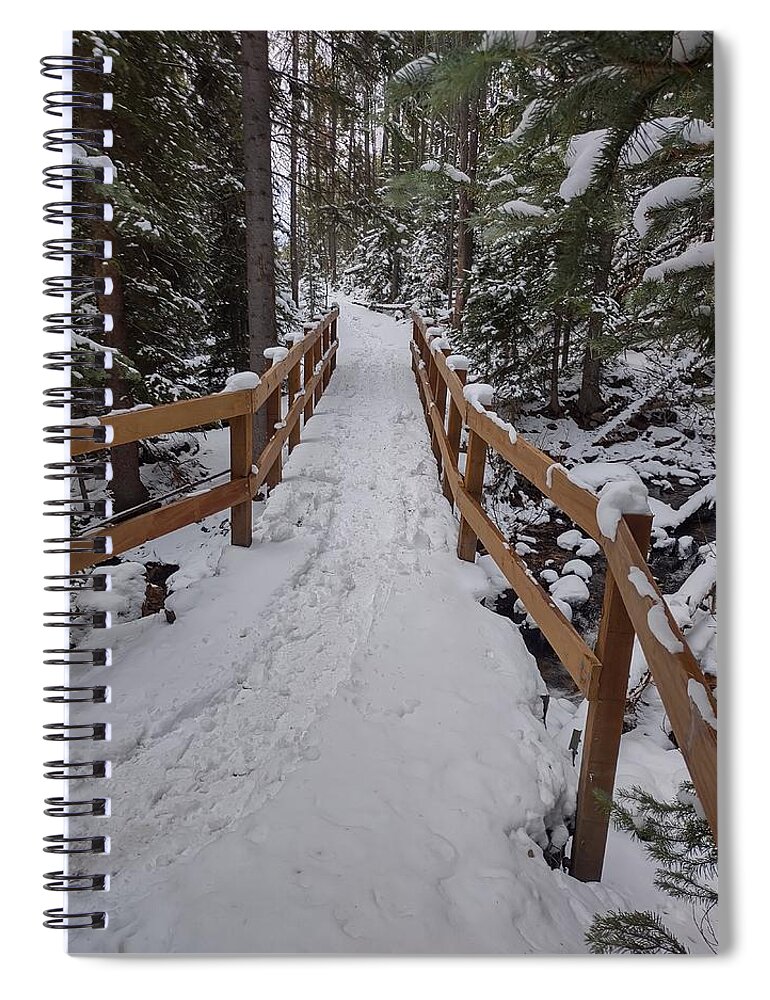 Landscape Spiral Notebook featuring the photograph Snowy pathway by Erin Mitchell