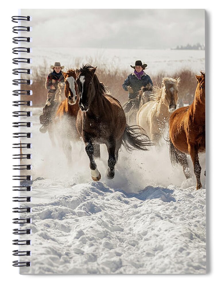 Horses Spiral Notebook featuring the photograph Snowy Ranch Horse Run by Dawn Key