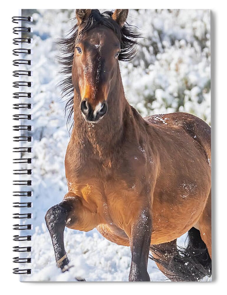 Nevada Spiral Notebook featuring the photograph Snowy Stallion Portrait by Marc Crumpler