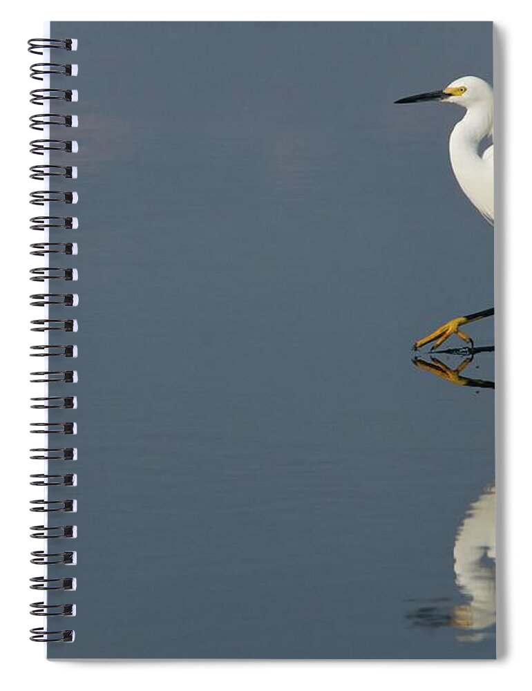 Florida Spiral Notebook featuring the photograph Snowy Stroll by Melissa Southern