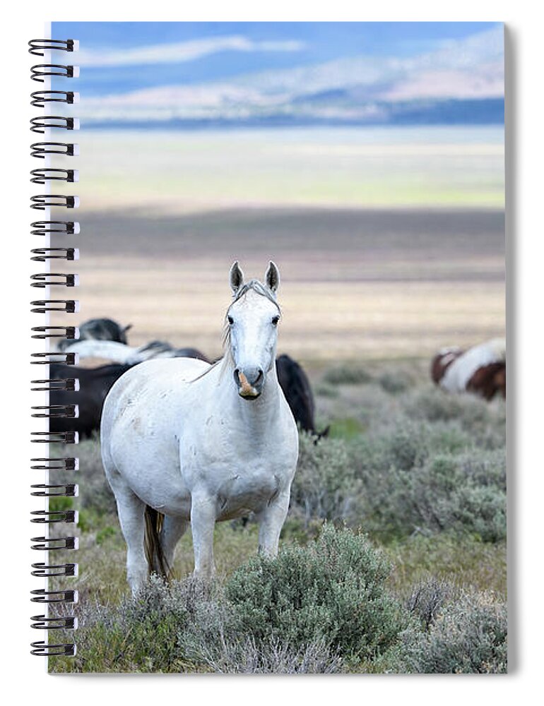 Horse Spiral Notebook featuring the photograph Snowy the Wild Mare by Fon Denton