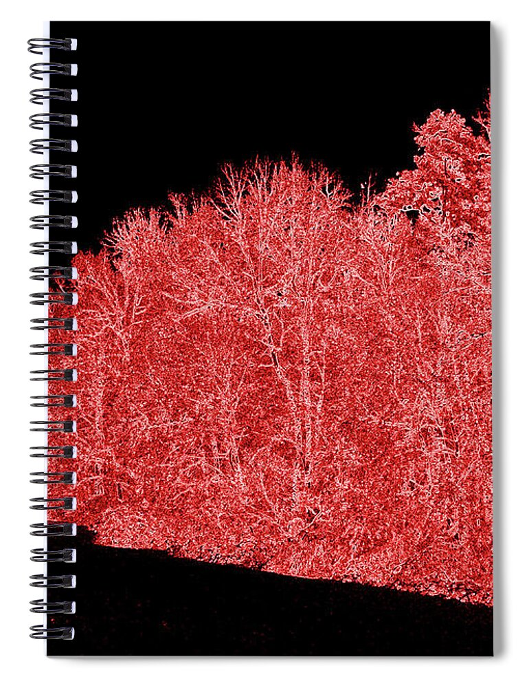 Trees Spiral Notebook featuring the photograph Snowy White Limbs with Neon Filter by Ali Baucom