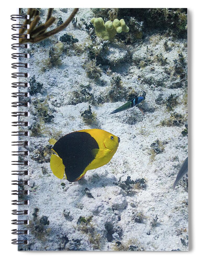 Animals Spiral Notebook featuring the photograph So Long by Lynne Browne