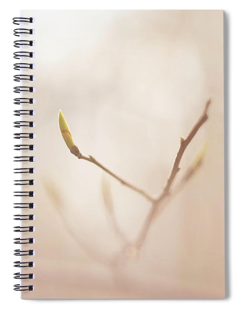 Gentle Spiral Notebook featuring the photograph Soft and fragile by Maria Dimitrova