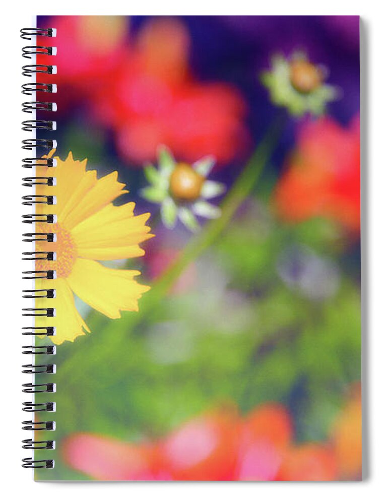 Soft Spiral Notebook featuring the photograph Soft and Light 21 by Becqi Sherman