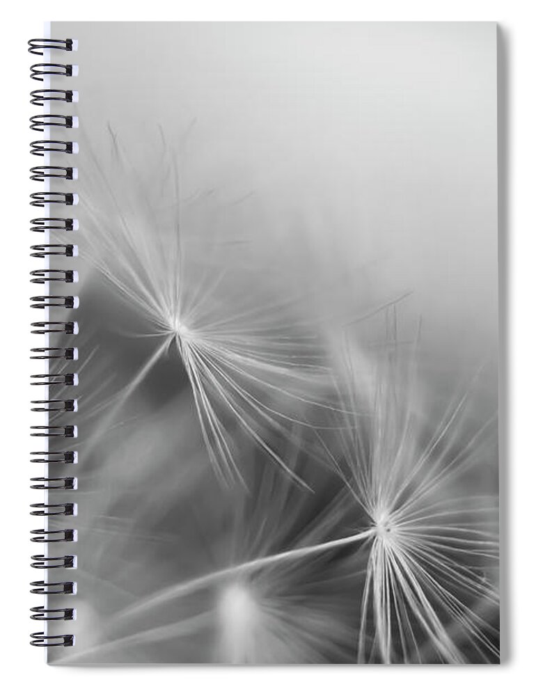 Black&white Spiral Notebook featuring the photograph Soft flower by MPhotographer