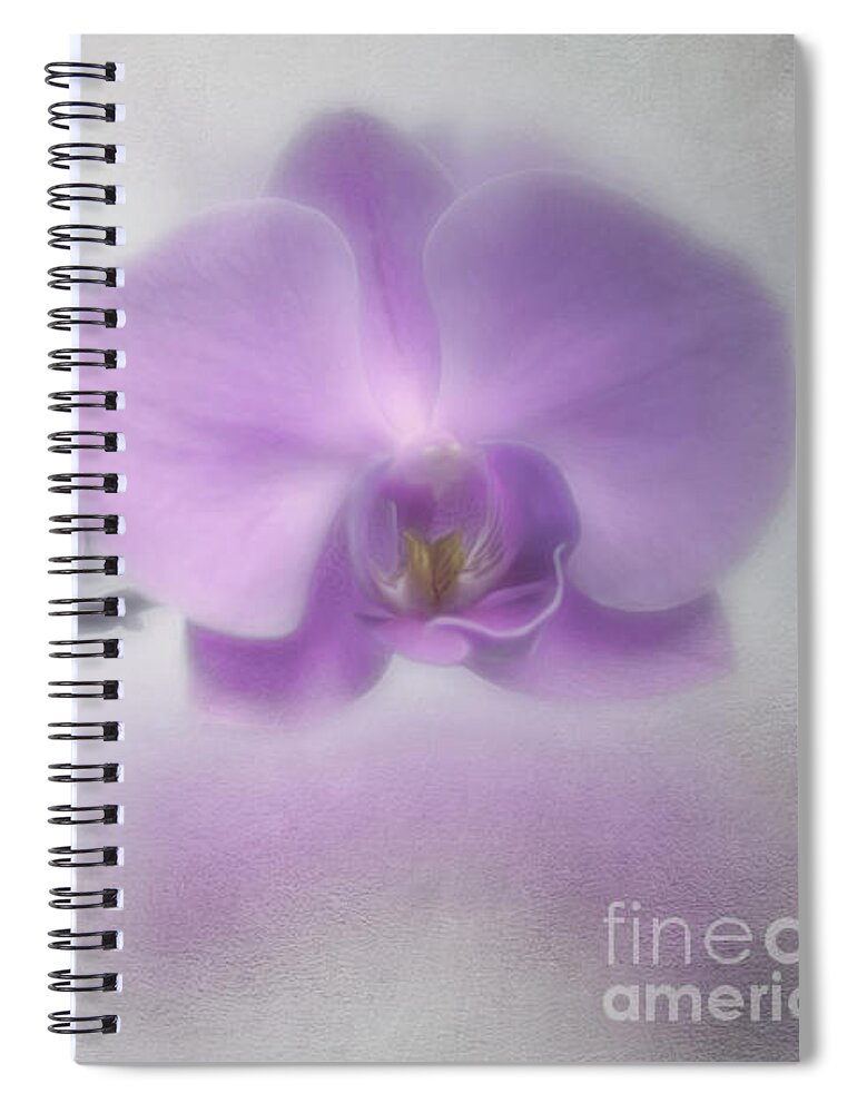Pale Spiral Notebook featuring the photograph Soft Orchids by Priska Wettstein