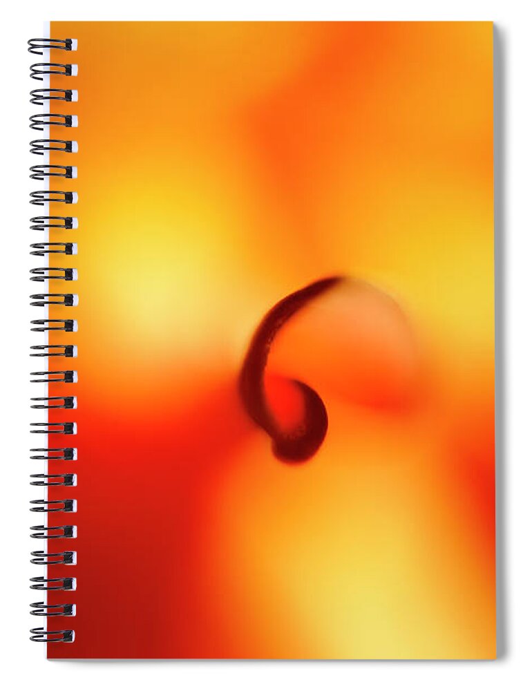 Orange Spiral Notebook featuring the photograph Soft Pillars by Tony Locke