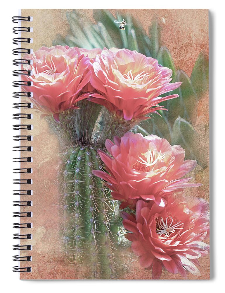 Black Cactus Spiral Notebook featuring the digital art Soft Red Blooms of Tucson by Steve Kelley