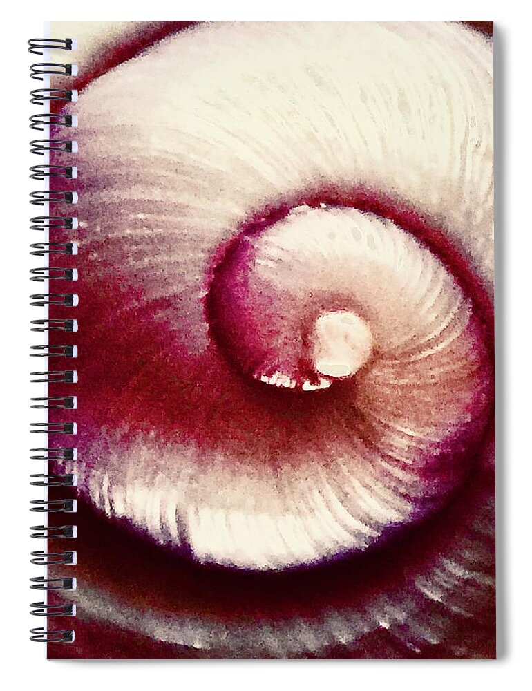Shell Spiral Notebook featuring the photograph Soft Serve by Kerry Obrist