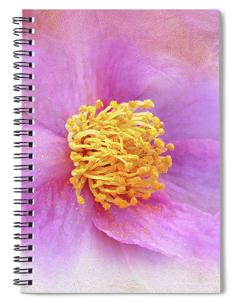Pink Spiral Notebook featuring the digital art Softly Pink Camellia by Amy Dundon