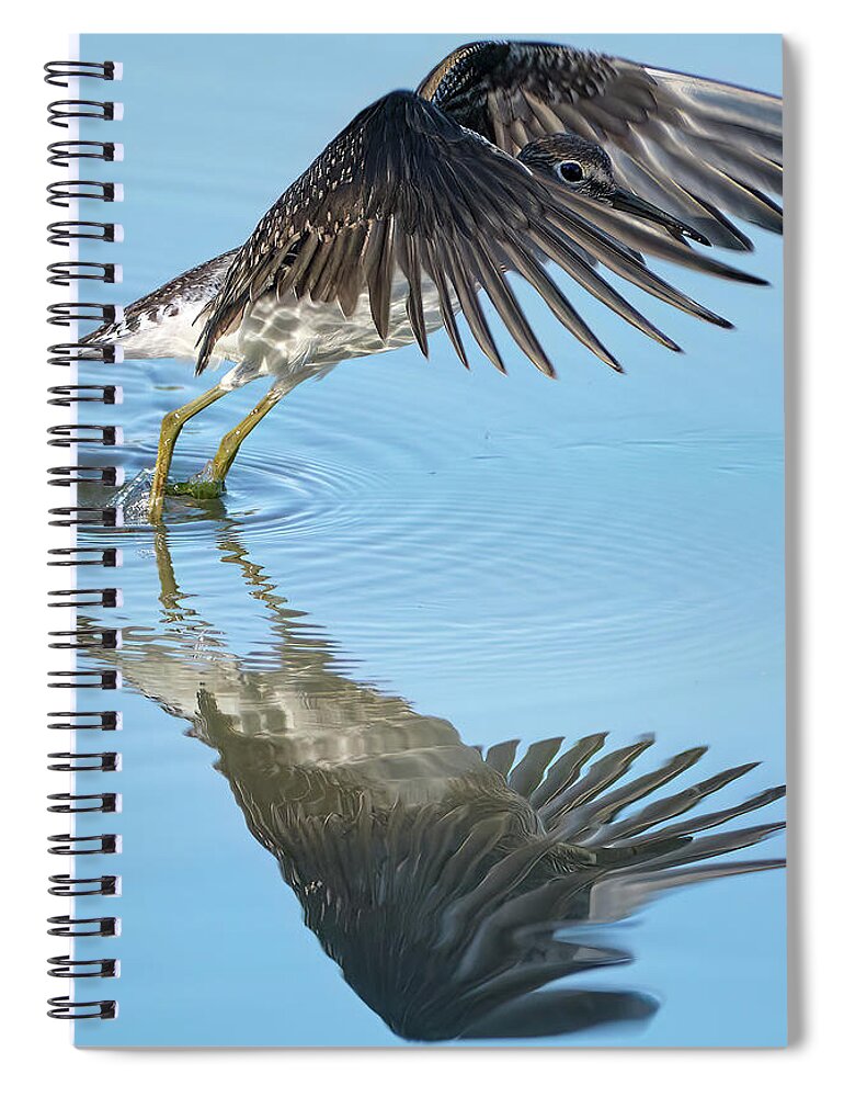 Chevalier Solitaire Spiral Notebook featuring the photograph Solitary sandpiper by Carl Marceau