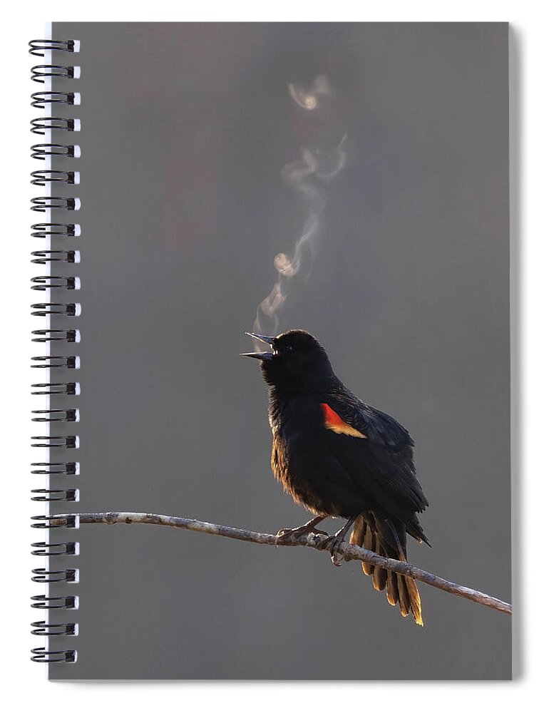 Bird Spiral Notebook featuring the photograph Song Exhale by Art Cole