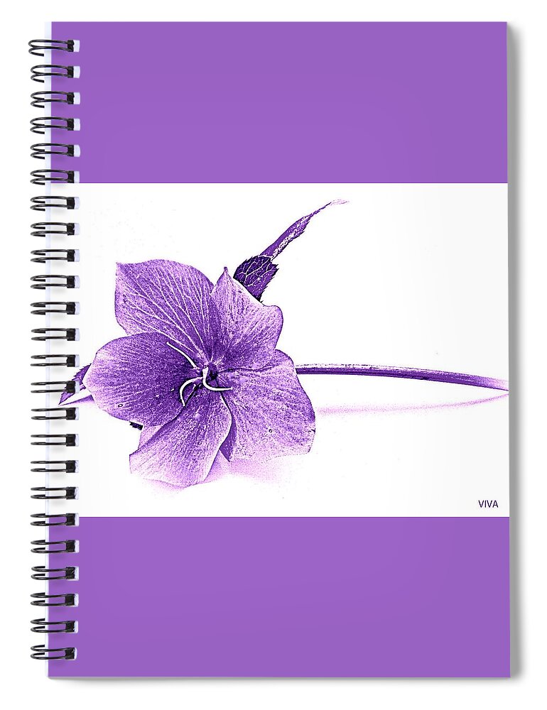 Spring Spiral Notebook featuring the photograph Song of Spring - Purple by VIVA Anderson