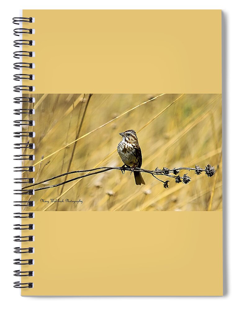 Birds Spiral Notebook featuring the photograph Song Sparrow by Mary Walchuck