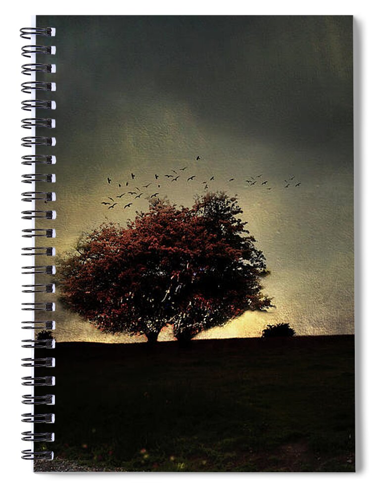  Spiral Notebook featuring the photograph songs of Ireland by Cybele Moon