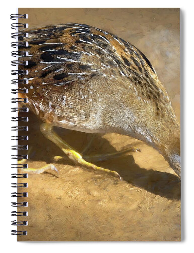 Rail Spiral Notebook featuring the photograph Sora Rail by Art Cole