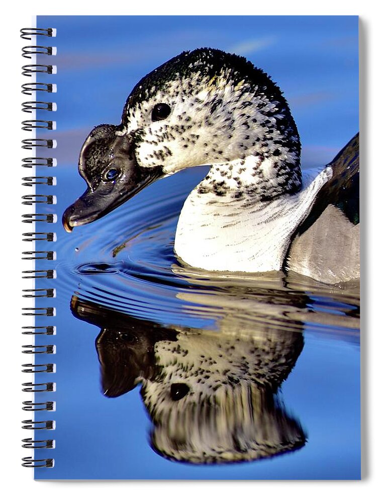 Waterfowl Spiral Notebook featuring the photograph South African Comb Duck Profile by Neil R Finlay