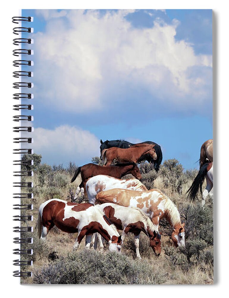 Horses Spiral Notebook featuring the photograph South Steens Feral Horses by Kathleen Bishop