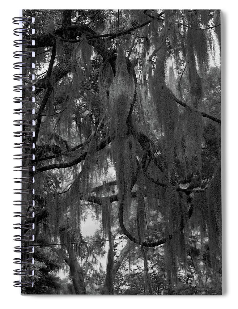 Georgia Spiral Notebook featuring the photograph Spanish Moss, Oaks, and Twisting Vines, St. Simons Island, 2019 by John Simmons