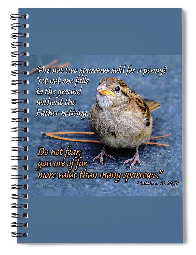  Spiral Notebook featuring the mixed media Sparrow Scripture Matthew 10 by Brian Tada