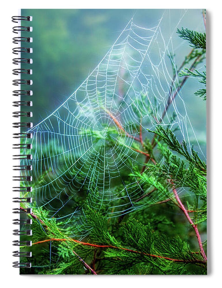 Spider Web Spiral Notebook featuring the photograph Spider Web Flare by Kristia Adams