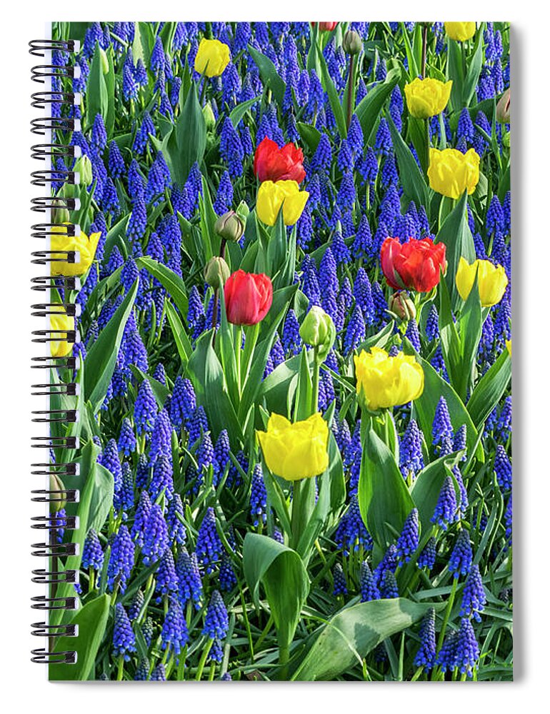 Agricultural Spiral Notebook featuring the photograph Splash of Color by Eggers Photography