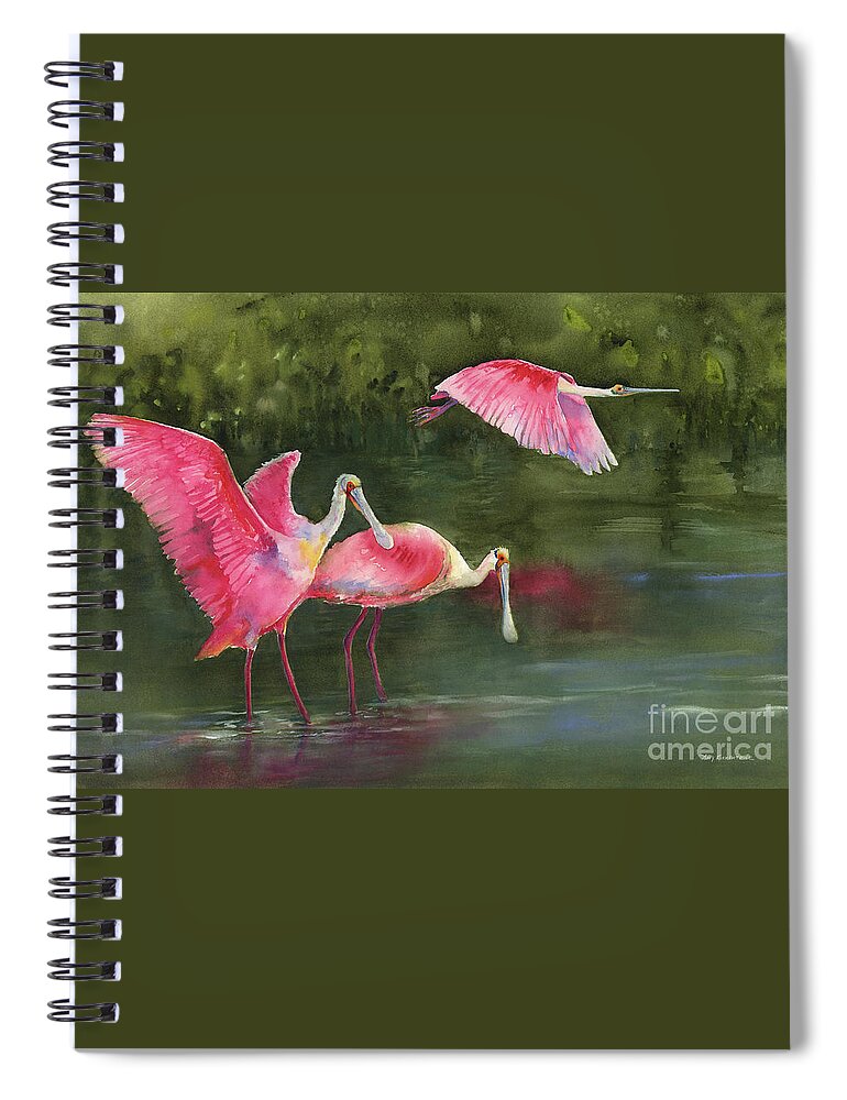Watercolor Spoonbills Spiral Notebook featuring the painting Spoonbills by Amy Kirkpatrick