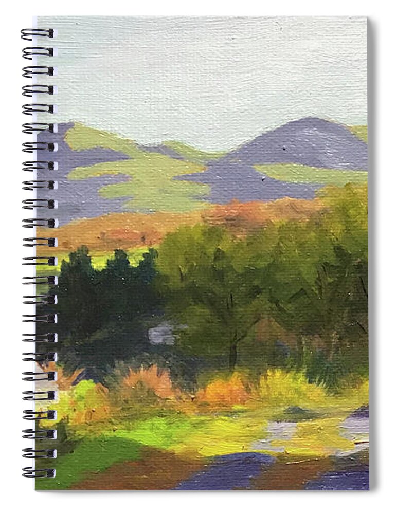 Woods Spiral Notebook featuring the painting Spot of Sun by Anne Marie Brown
