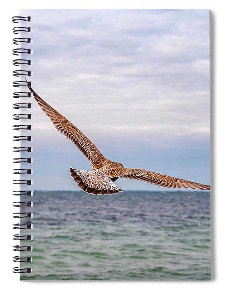 Birds Spiral Notebook featuring the photograph Spread your Wings... and fly away. by Daniel M Walsh