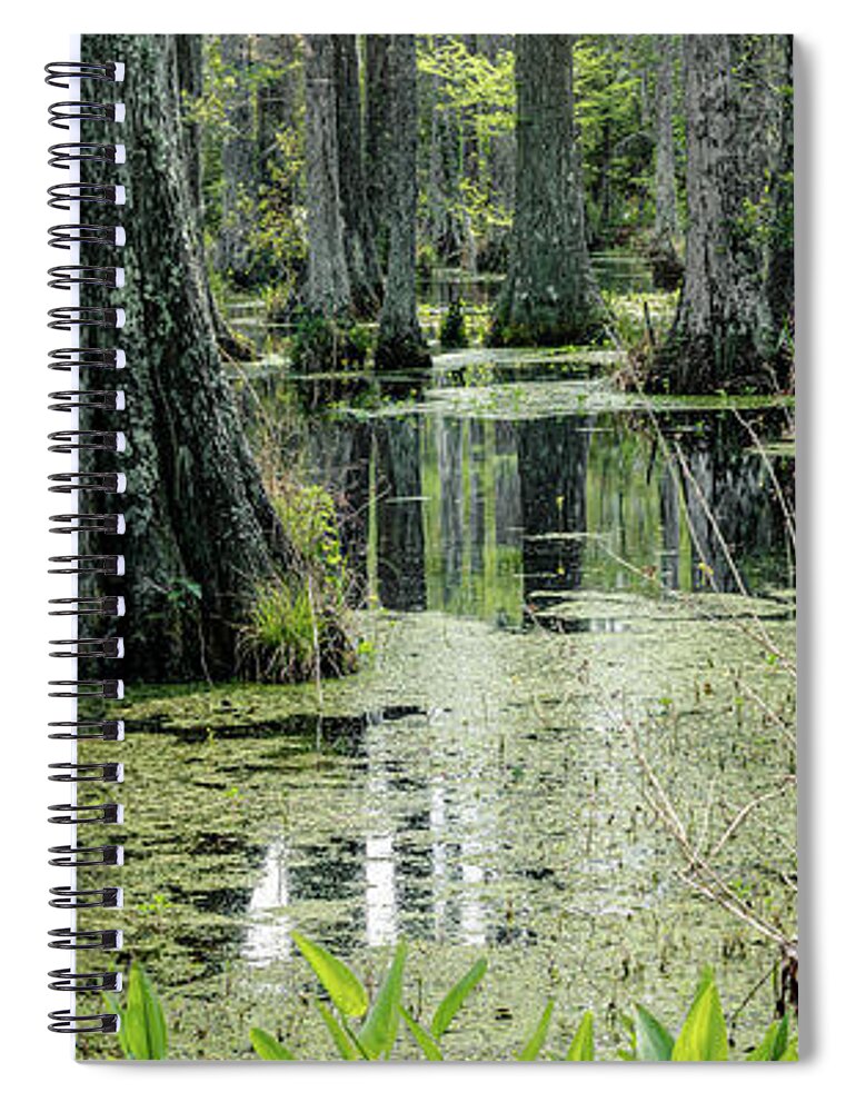 Cypress Gardens Spiral Notebook featuring the photograph Spring at the Cypress Gardens 1 pano by Dimitry Papkov