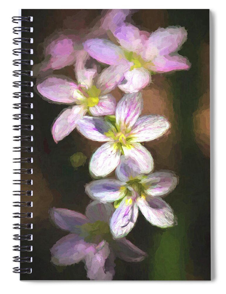 Wildflowers Spiral Notebook featuring the photograph Spring Beauties by Linda Shannon Morgan